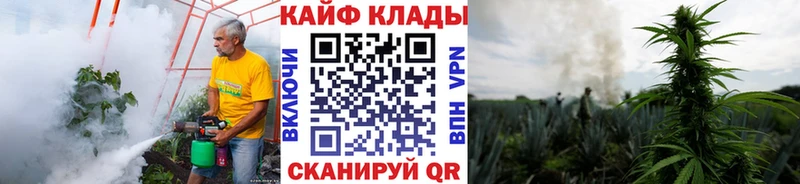 Купить наркоту Шали Конопля  Мефедрон  АМФЕТАМИН  Гашиш  КОКАИН 