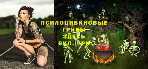 амф Бугульма