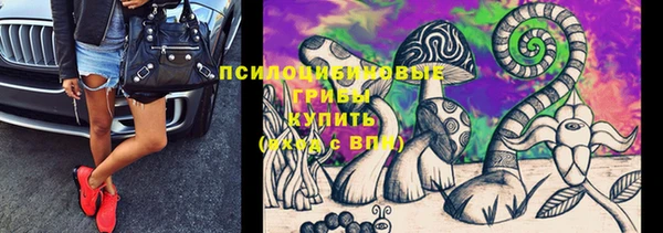 первитин Бородино